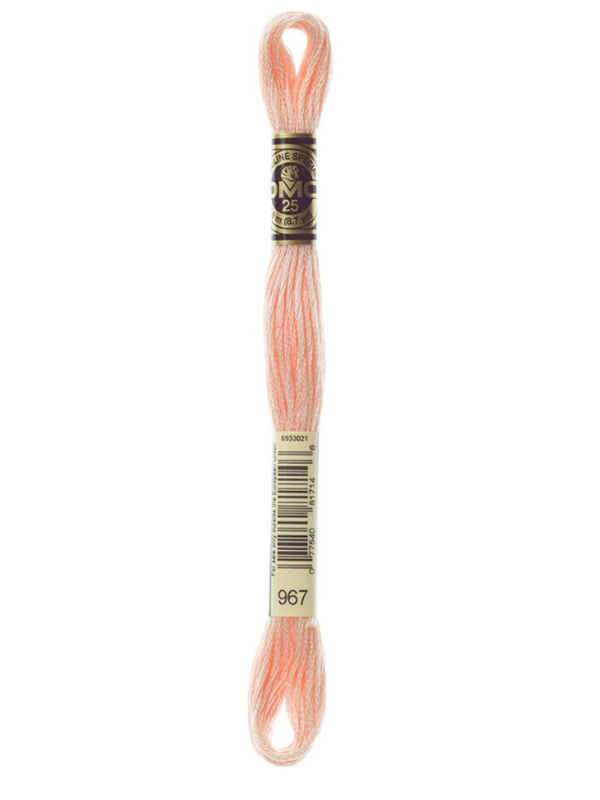 DMC moulin thread, shades 947-3768