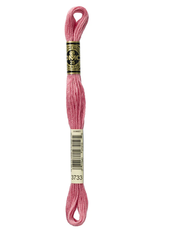 DMC moulin thread, shades 947-3768