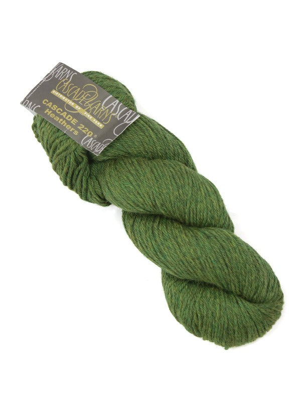 Joh beanie pattern + Cascade 220