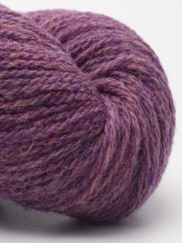 BC GARN Organic Shetland