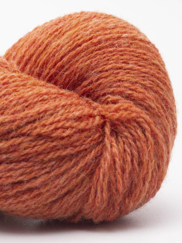 BC GARN Organic Shetland