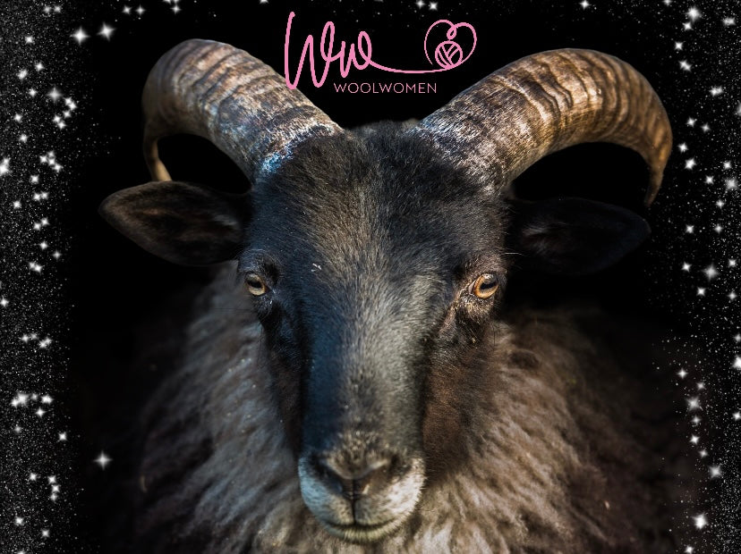 A black sheep with large curved horns is centered against a starry background, with a pink WoolWomen logo at the top.