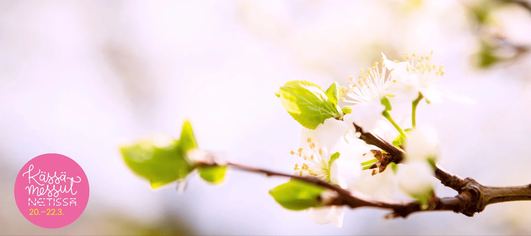 Kässämessut netissä