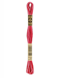 DMC moulin thread -Multicolor