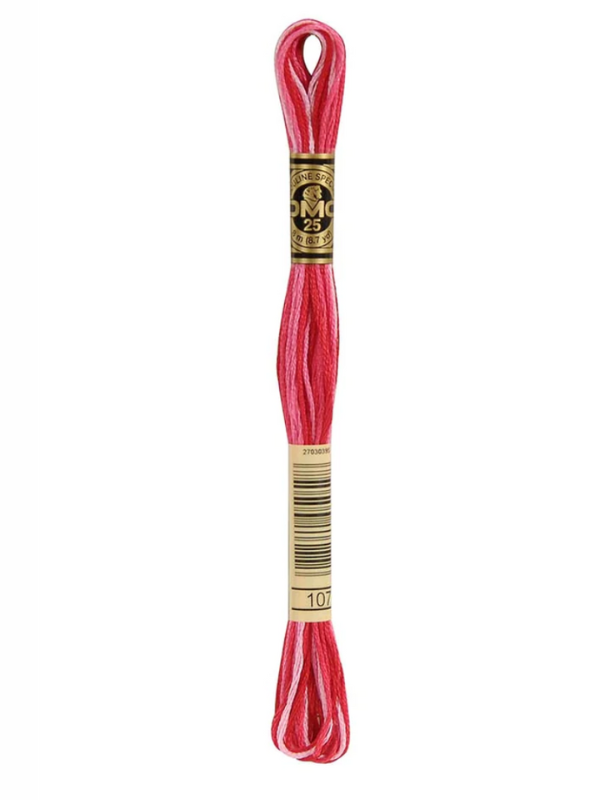 DMC moulin thread -Multicolor