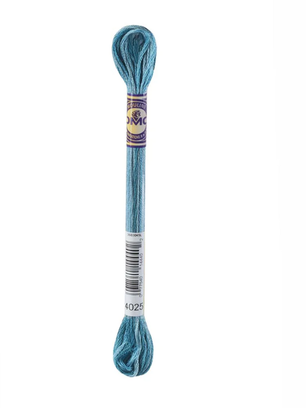 DMC moulin thread -Multicolor