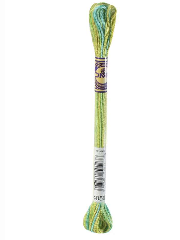 DMC moulin thread -Multicolor