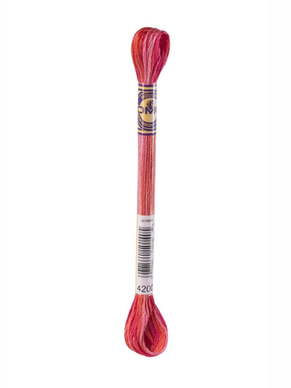 DMC moulin thread -Multicolor