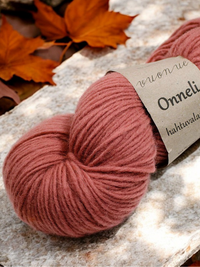 Vuonue Onneli hahtuvalan