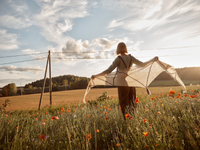 Wave 21 Harvest of the Sun