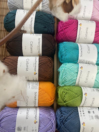 SCHACHENMAYR CATANIA